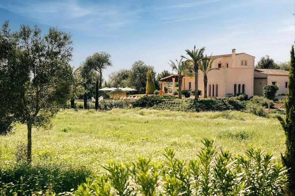 Finca Can Alma, Cas Concos 펠라니트스 펜션